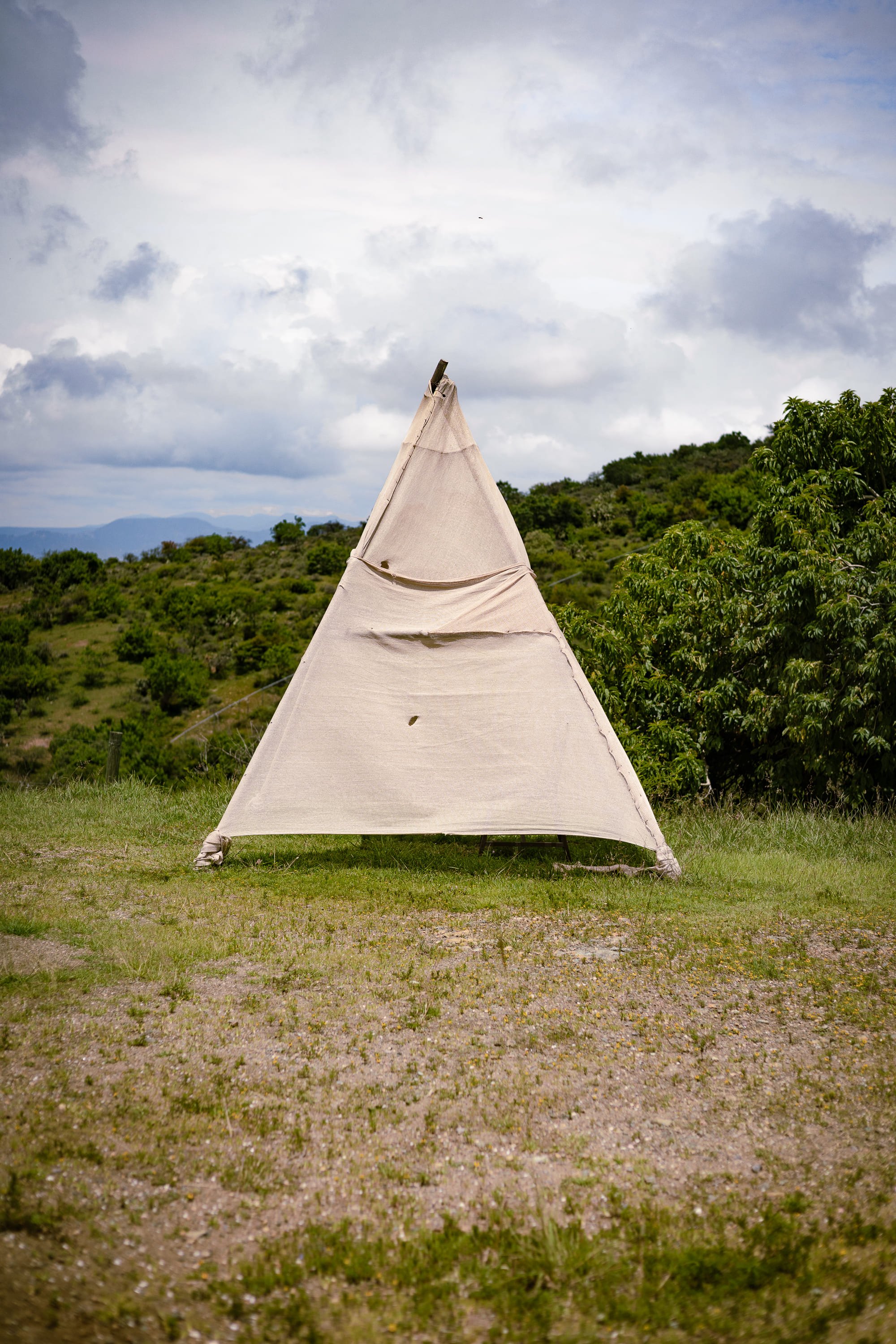 Escenario Teepees